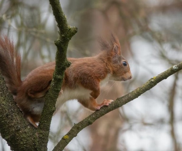 Natuur