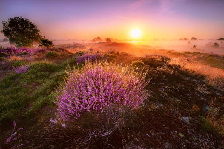 impression-mobile-img-1